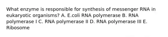 What enzyme is responsible for synthesis of messenger RNA in eukaryotic organisms? A. E.coli RNA polymerase B. RNA polymerase I C. RNA polymerase II D. RNA polymerase III E. Ribosome