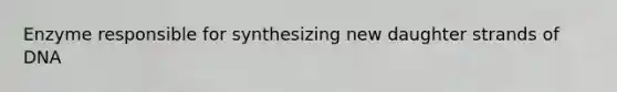 Enzyme responsible for synthesizing new daughter strands of DNA