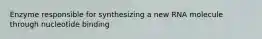 Enzyme responsible for synthesizing a new RNA molecule through nucleotide binding