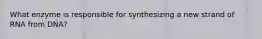 What enzyme is responsible for synthesizing a new strand of RNA from DNA?