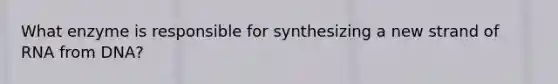 What enzyme is responsible for synthesizing a new strand of RNA from DNA?