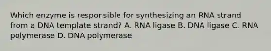 Which enzyme is responsible for synthesizing an RNA strand from a DNA template strand? A. RNA ligase B. DNA ligase C. RNA polymerase D. DNA polymerase