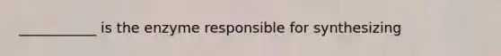 ___________ is the enzyme responsible for synthesizing