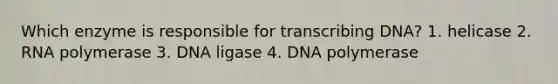 Which enzyme is responsible for transcribing DNA? 1. helicase 2. RNA polymerase 3. DNA ligase 4. DNA polymerase