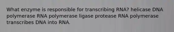 What enzyme is responsible for transcribing RNA? helicase DNA polymerase RNA polymerase ligase protease RNA polymerase transcribes DNA into RNA.