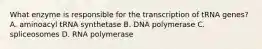 What enzyme is responsible for the transcription of tRNA genes? A. aminoacyl tRNA synthetase B. DNA polymerase C. spliceosomes D. RNA polymerase