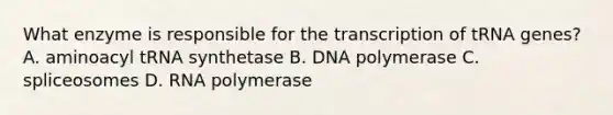 What enzyme is responsible for the transcription of tRNA genes? A. aminoacyl tRNA synthetase B. DNA polymerase C. spliceosomes D. RNA polymerase