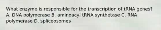 What enzyme is responsible for the transcription of tRNA genes? A. DNA polymerase B. aminoacyl tRNA synthetase C. RNA polymerase D. spliceosomes