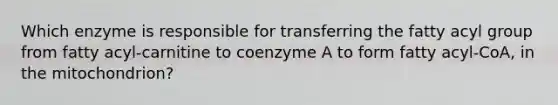 Which enzyme is responsible for transferring the fatty acyl group from fatty acyl-carnitine to coenzyme A to form fatty acyl-CoA, in the mitochondrion?