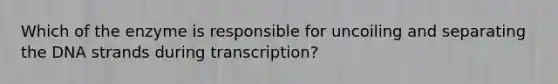 Which of the enzyme is responsible for uncoiling and separating the DNA strands during transcription?