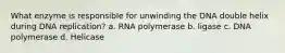 What enzyme is responsible for unwinding the DNA double helix during DNA replication? a. RNA polymerase b. ligase c. DNA polymerase d. Helicase