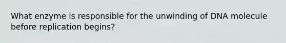 What enzyme is responsible for the unwinding of DNA molecule before replication begins?