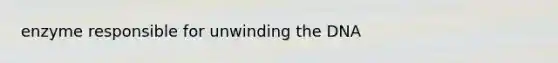 enzyme responsible for unwinding the DNA