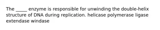 The _____ enzyme is responsible for unwinding the double-helix structure of DNA during replication. helicase polymerase ligase extendase windase