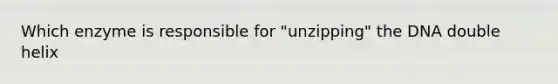 Which enzyme is responsible for "unzipping" the DNA double helix