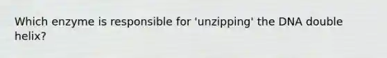 Which enzyme is responsible for 'unzipping' the DNA double helix?