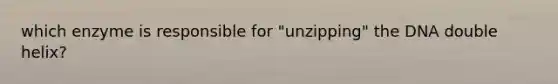 which enzyme is responsible for "unzipping" the DNA double helix?