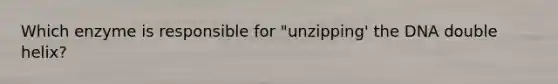 Which enzyme is responsible for "unzipping' the DNA double helix?