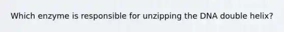 Which enzyme is responsible for unzipping the DNA double helix?