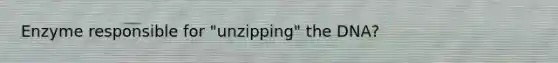 Enzyme responsible for "unzipping" the DNA?