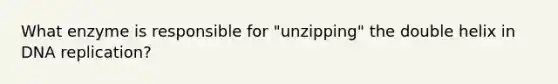 What enzyme is responsible for "unzipping" the double helix in DNA replication?