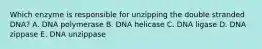 Which enzyme is responsible for unzipping the double stranded DNA? A. DNA polymerase B. DNA helicase C. DNA ligase D. DNA zippase E. DNA unzippase