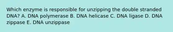 Which enzyme is responsible for unzipping the double stranded DNA? A. DNA polymerase B. DNA helicase C. DNA ligase D. DNA zippase E. DNA unzippase