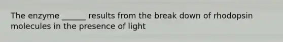 The enzyme ______ results from the break down of rhodopsin molecules in the presence of light