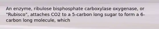 An enzyme, ribulose bisphosphate carboxylase oxygenase, or "Rubisco", attaches CO2 to a 5-carbon long sugar to form a 6-carbon long molecule, which