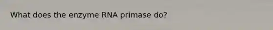 What does the enzyme RNA primase do?