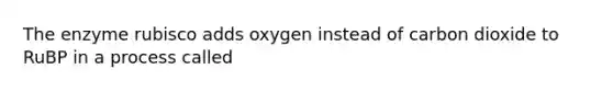 The enzyme rubisco adds oxygen instead of carbon dioxide to RuBP in a process called