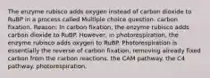 The enzyme rubisco adds oxygen instead of carbon dioxide to RuBP in a process called Multiple choice question. carbon fixation. Reason: In carbon fixation, the enzyme rubisco adds carbon dioxide to RuBP. However, in photorespiration, the enzyme rubisco adds oxygen to RuBP. Photorespiration is essentially the reverse of carbon fixation, removing already fixed carbon from the carbon reactions. the CAM pathway. the C4 pathway. photorespiration.