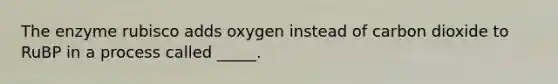 The enzyme rubisco adds oxygen instead of carbon dioxide to RuBP in a process called _____.