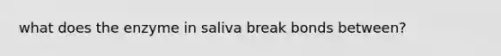 what does the enzyme in saliva break bonds between?