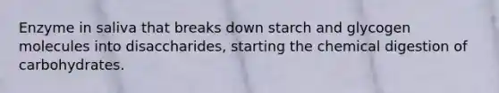 Enzyme in saliva that breaks down starch and glycogen molecules into disaccharides, starting the chemical digestion of carbohydrates.