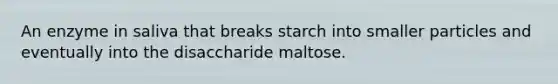 An enzyme in saliva that breaks starch into smaller particles and eventually into the disaccharide maltose.