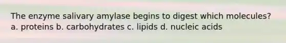 The enzyme salivary amylase begins to digest which molecules? a. proteins b. carbohydrates c. lipids d. nucleic acids