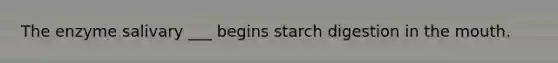 The enzyme salivary ___ begins starch digestion in the mouth.