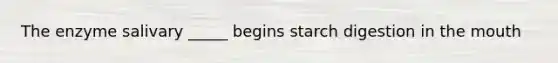 The enzyme salivary _____ begins starch digestion in the mouth