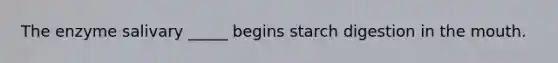 The enzyme salivary _____ begins starch digestion in the mouth.