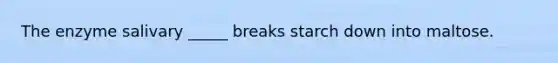 The enzyme salivary _____ breaks starch down into maltose.