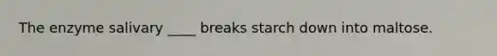 The enzyme salivary ____ breaks starch down into maltose.