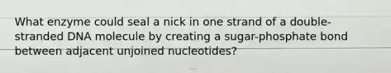 What enzyme could seal a nick in one strand of a double-stranded DNA molecule by creating a sugar-phosphate bond between adjacent unjoined nucleotides?