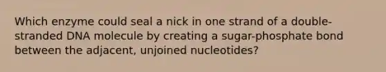 Which enzyme could seal a nick in one strand of a double-stranded DNA molecule by creating a sugar-phosphate bond between the adjacent, unjoined nucleotides?