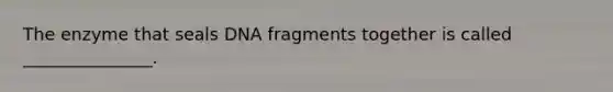 The enzyme that seals DNA fragments together is called _______________.