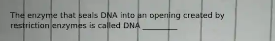 The enzyme that seals DNA into an opening created by restriction enzymes is called DNA _________