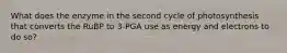 What does the enzyme in the second cycle of photosynthesis that converts the RuBP to 3-PGA use as energy and electrons to do so?