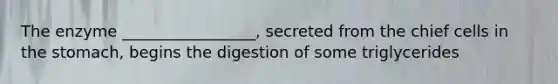 The enzyme _________________, secreted from the chief cells in the stomach, begins the digestion of some triglycerides