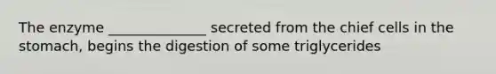 The enzyme ______________ secreted from the chief cells in <a href='https://www.questionai.com/knowledge/kLccSGjkt8-the-stomach' class='anchor-knowledge'>the stomach</a>, begins the digestion of some triglycerides