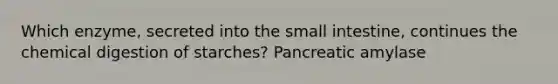 Which enzyme, secreted into the small intestine, continues the chemical digestion of starches? Pancreatic amylase